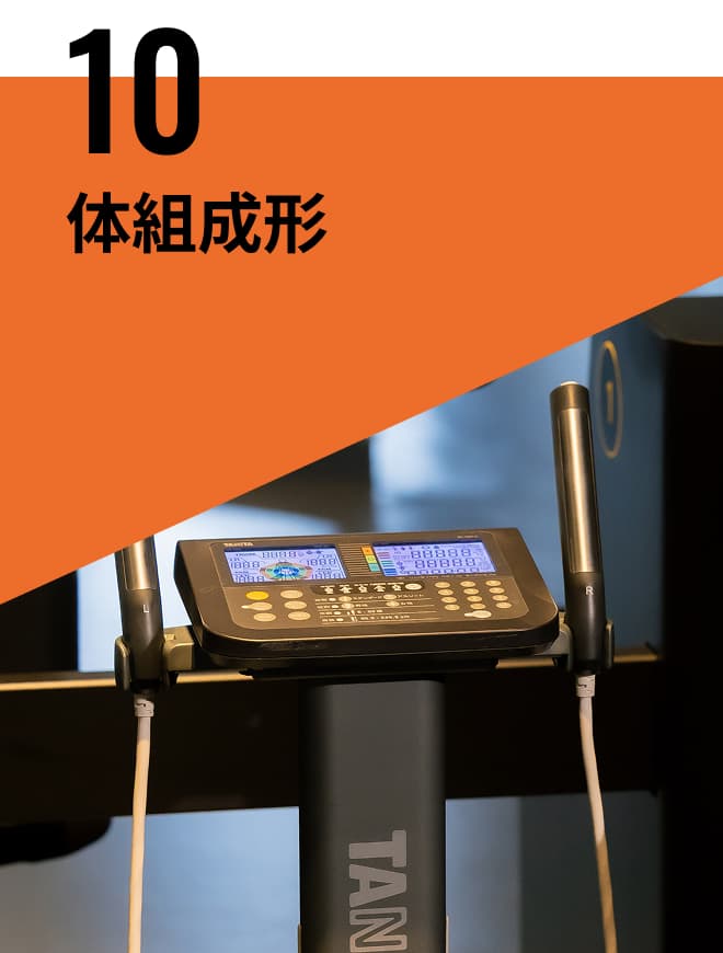 体組成形