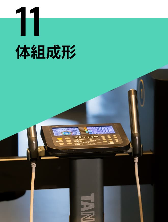 体組成形