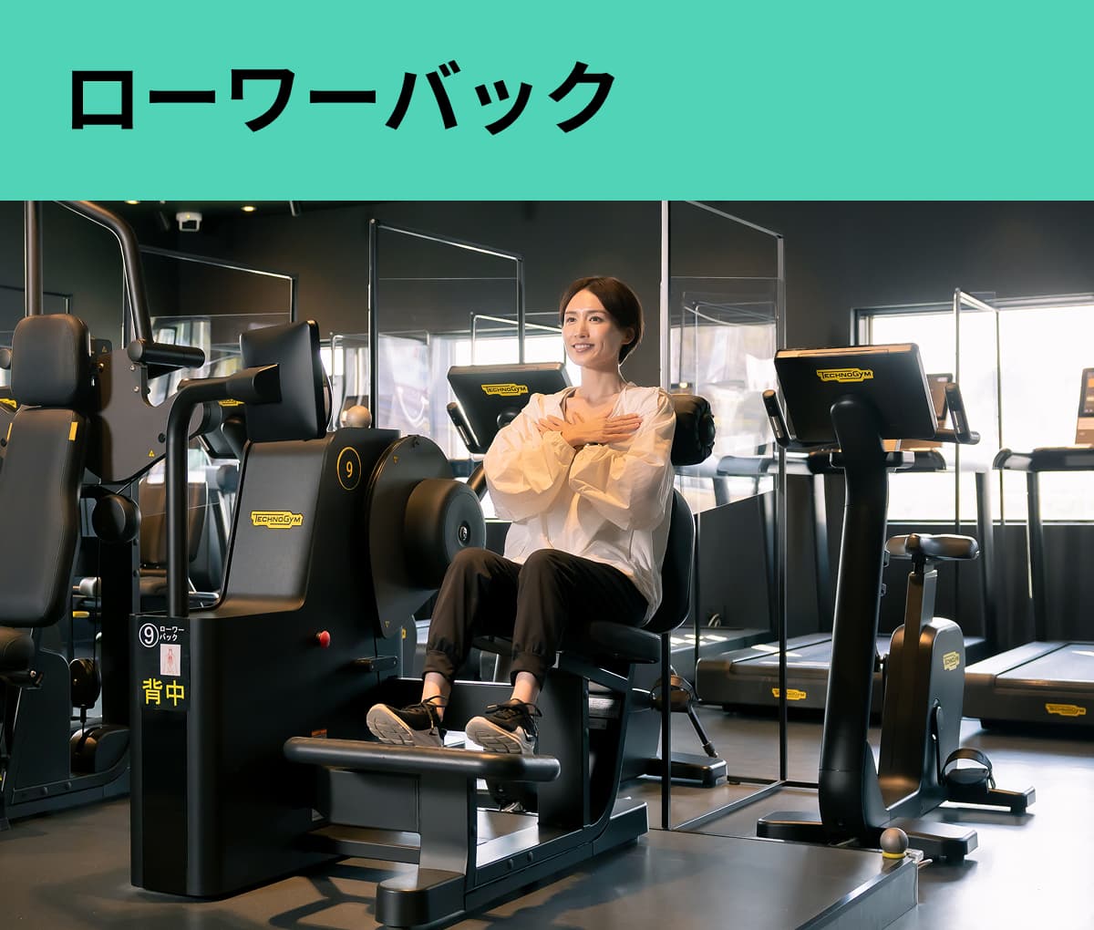 ローワーバック