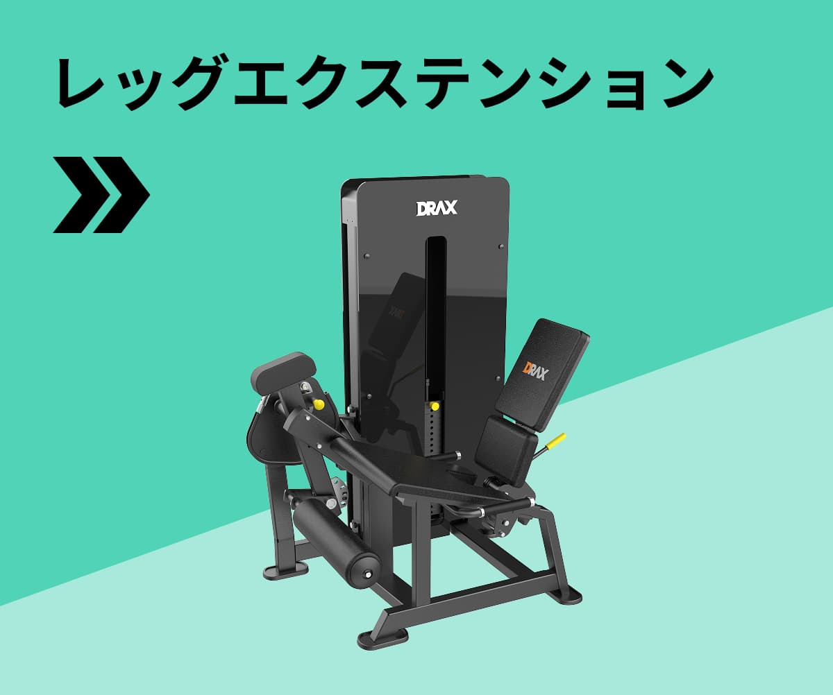 レッグエクステンション