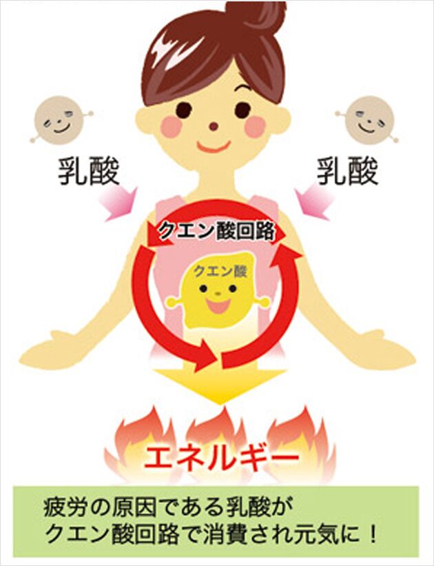 暑い夏こそ！クエン酸で元気いっぱい！